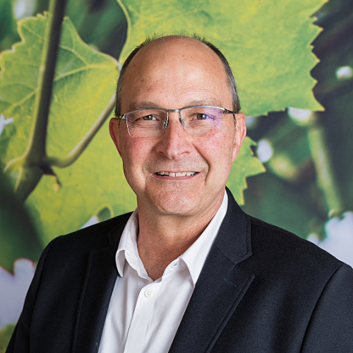 Wessel Lemmer