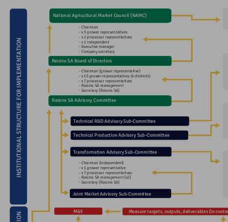 Governance Structure